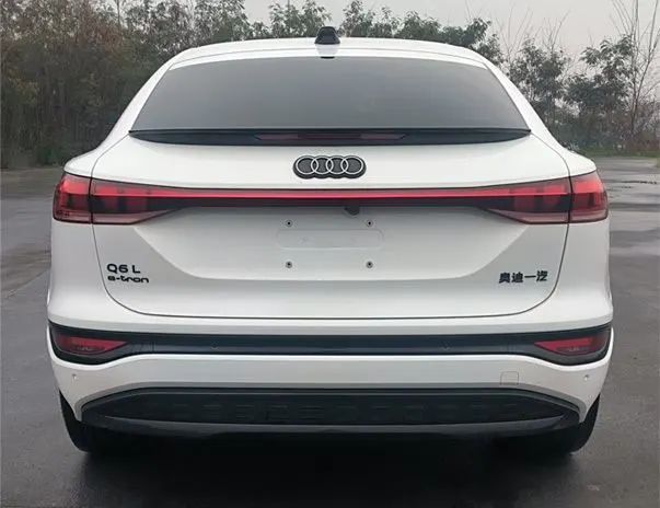 一汽奥迪Q6L e-tron及Q6L e-tron Sportback申报图曝光，中国版车型更运动  第4张